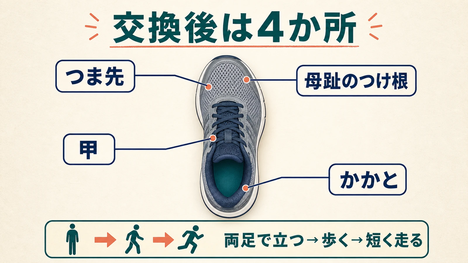 中敷き交換後につま先・母趾のつけ根・甲・かかとを確認する図