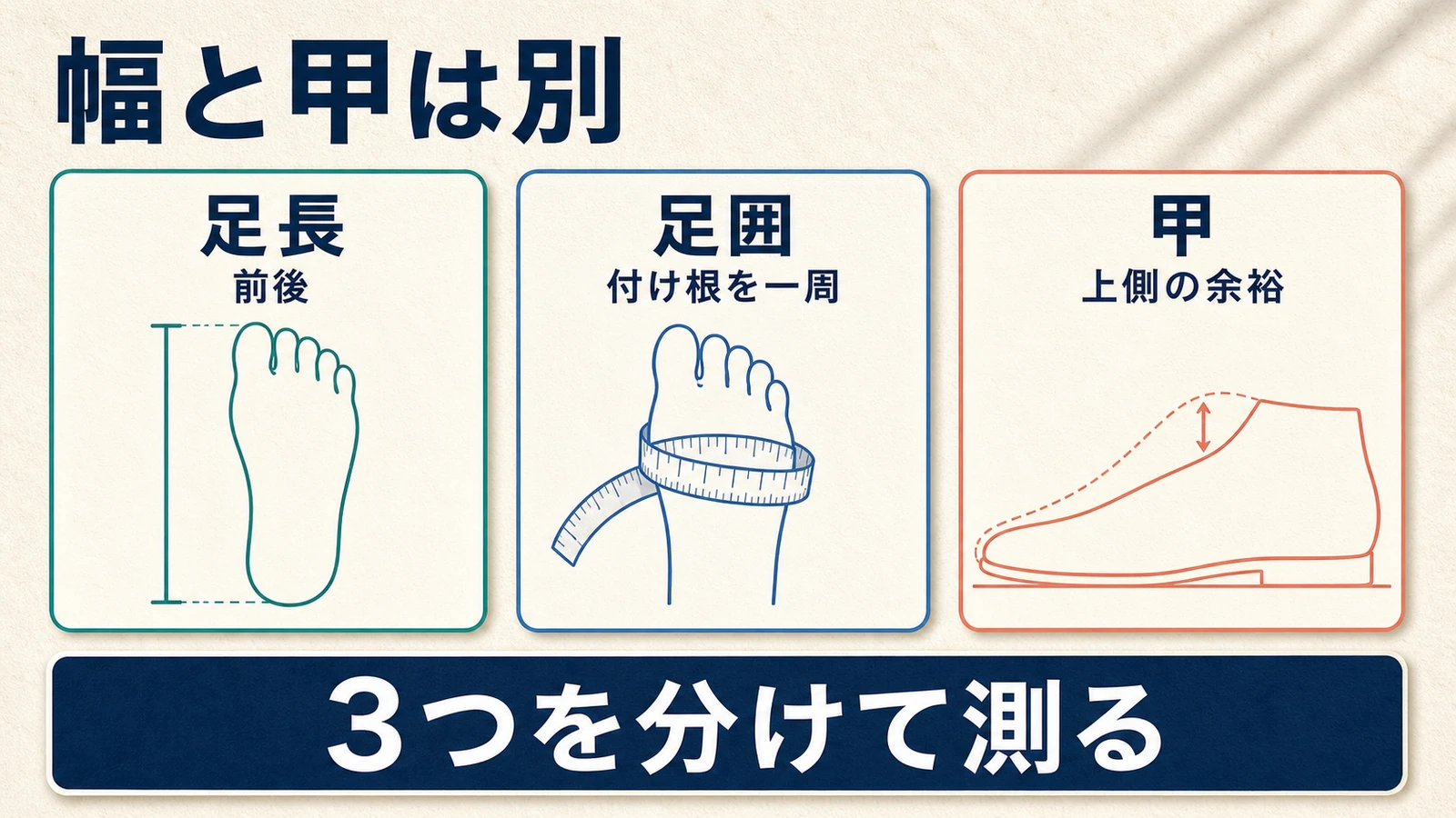 足長・足囲・甲を別々の寸法として示した図