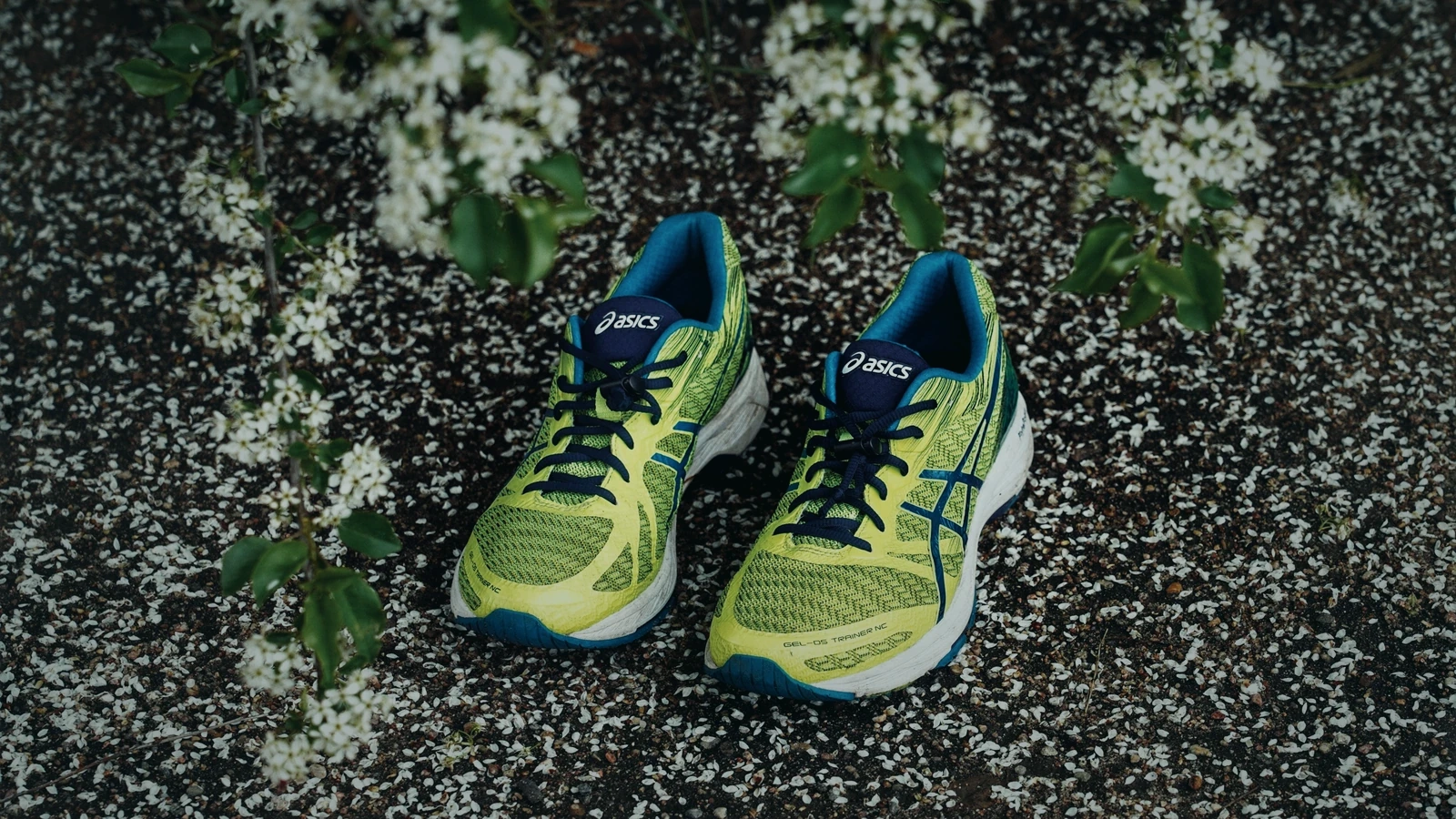 花びらの落ちた地面に置かれた黄緑色のASICSランニングシューズ